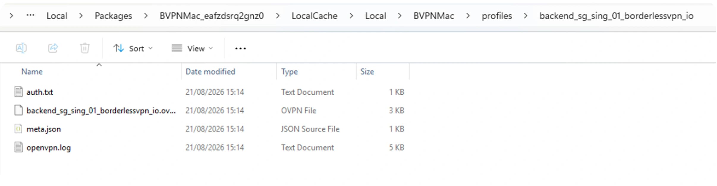 File Explorer showing the BorderlessVPN profile folder containing openvpn.log