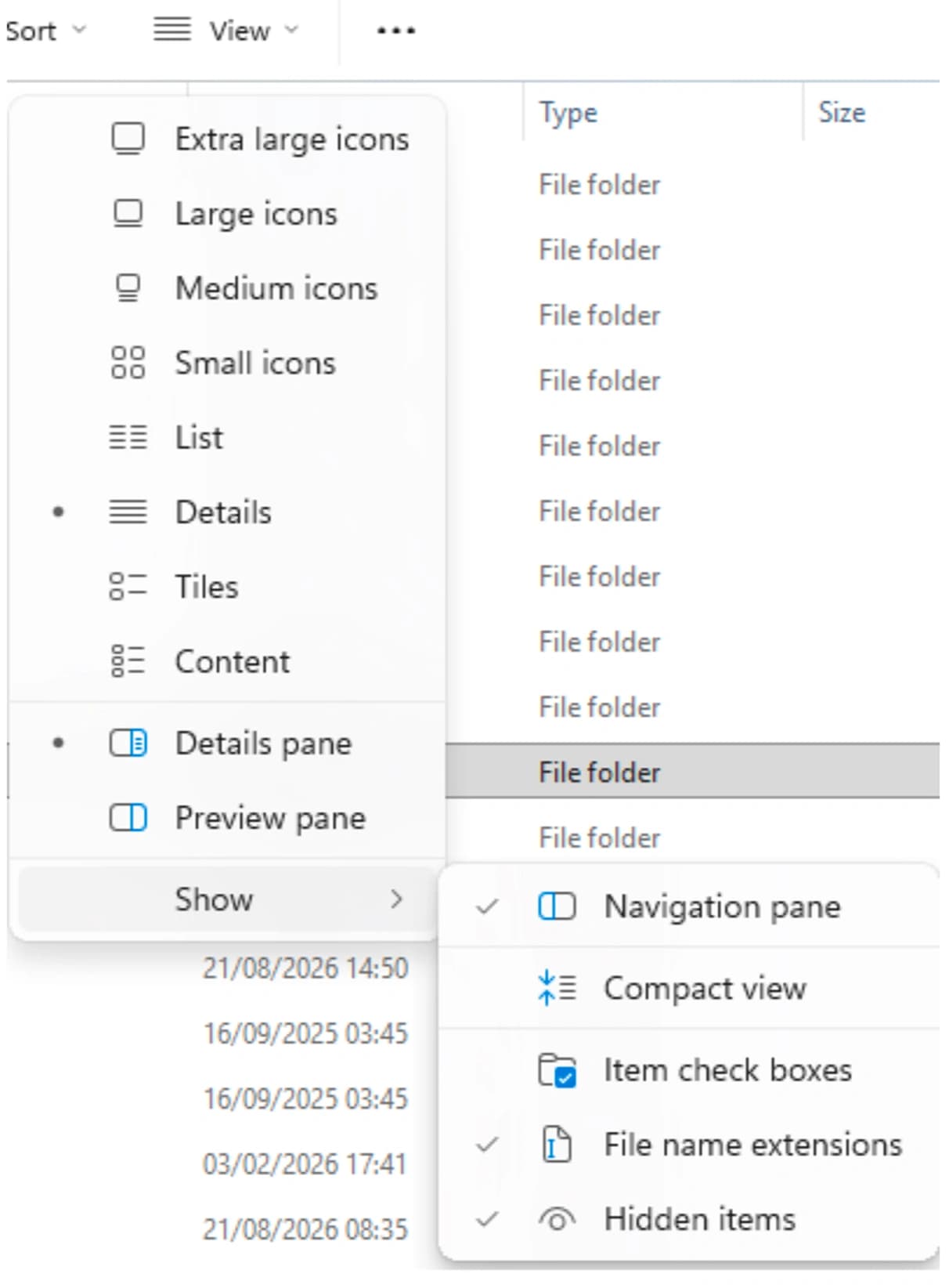 File Explorer View menu with the Hidden items option enabled